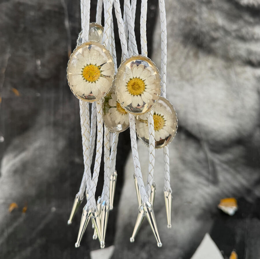 Daisies
